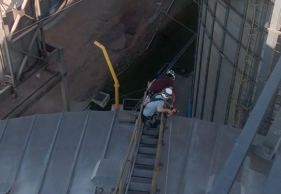 Foto da equipe completa da Colmeia reunida.